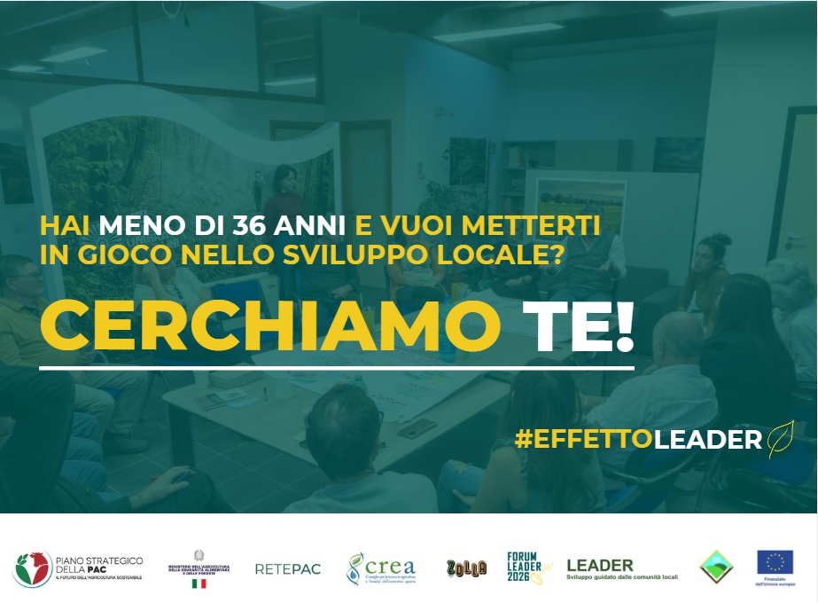 effetto leader 2026